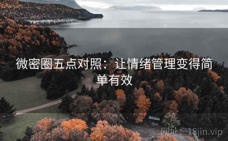 微密圈五点对照:让情绪管理变得简单有效